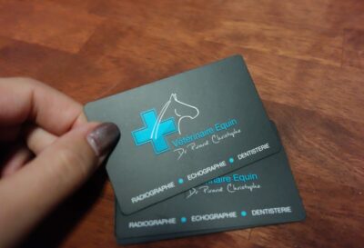 CARTE DE VISITE LIEGE BOGRAPHIK CREATION IMPRESSION VETERINAIRE