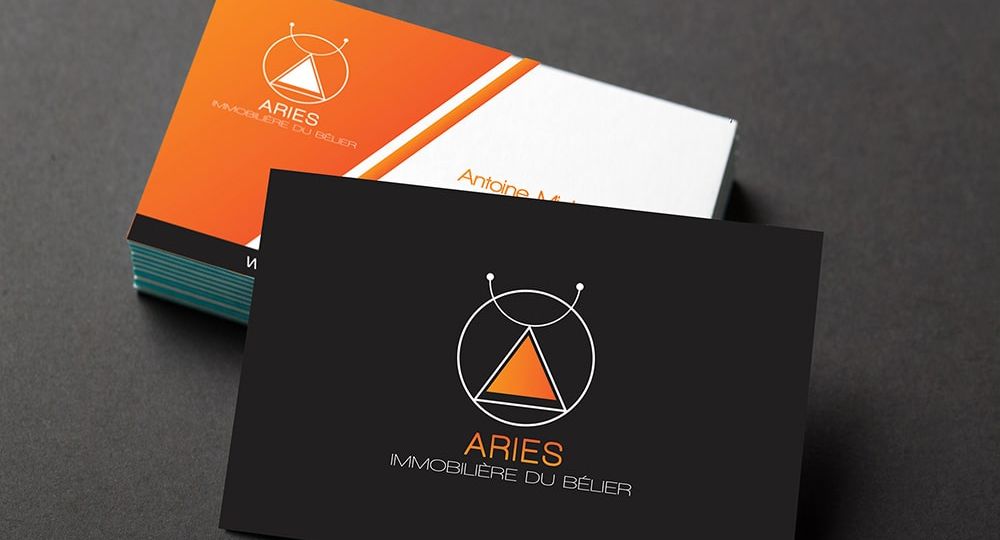 aries_immobilier-carte-visite-liege-amay-bographik